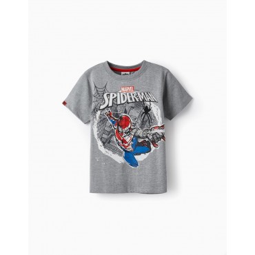 Maglia bambino Zippy grigia...