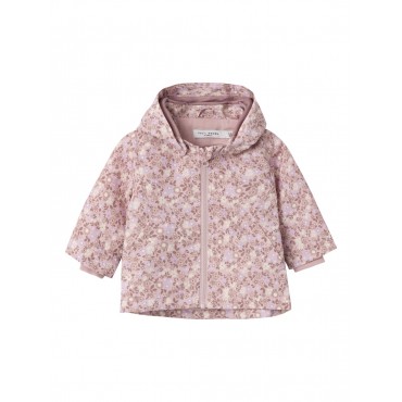 Ventina neonata Name it...